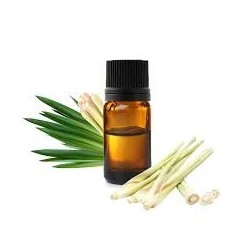 Huile essentielle citronnelle 10 ml