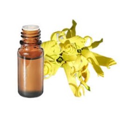 Ylang Ylang III - Huile Essentielle 10m