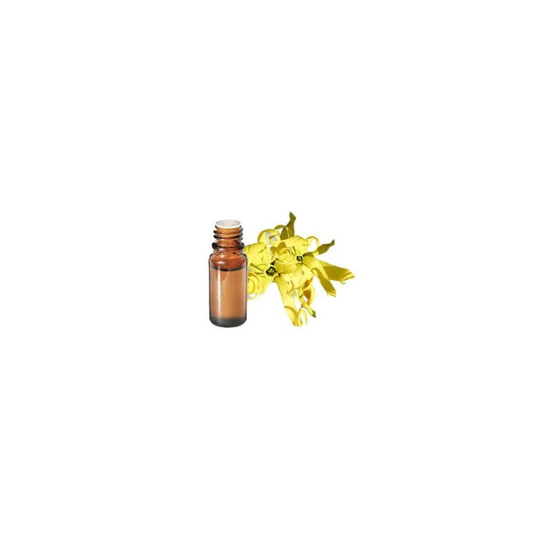 Ylang Ylang III - Huile Essentielle 10m