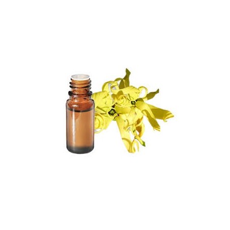 Ylang Ylang III - Huile Essentielle 10m